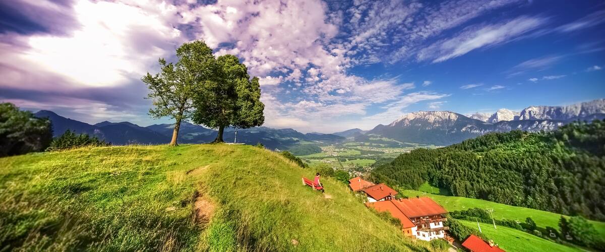 A mountainous landscape with a prominent tree, a red-roofed building, and a distant village.