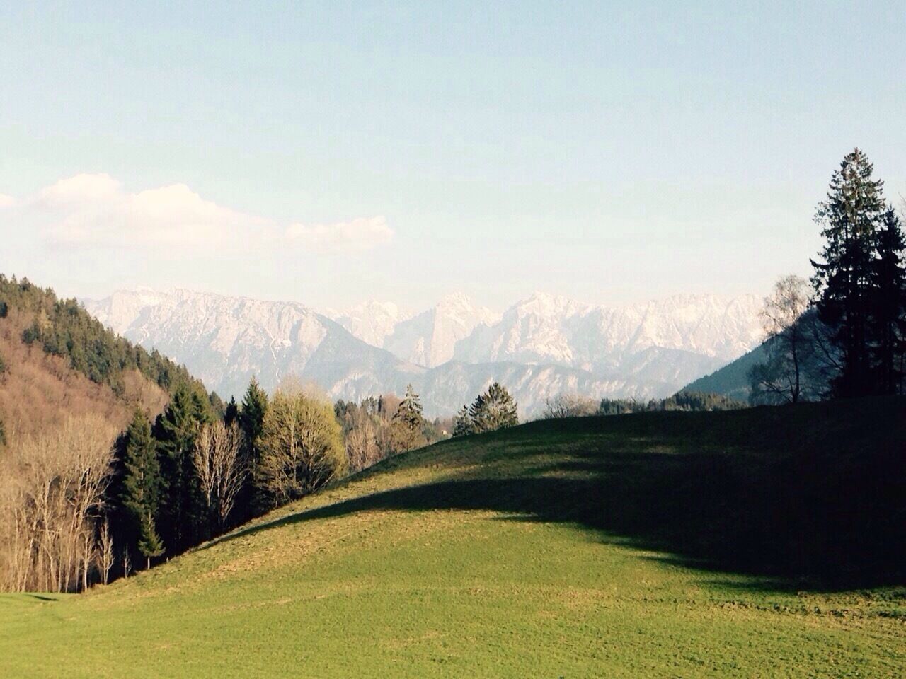 Mountainview #hiking