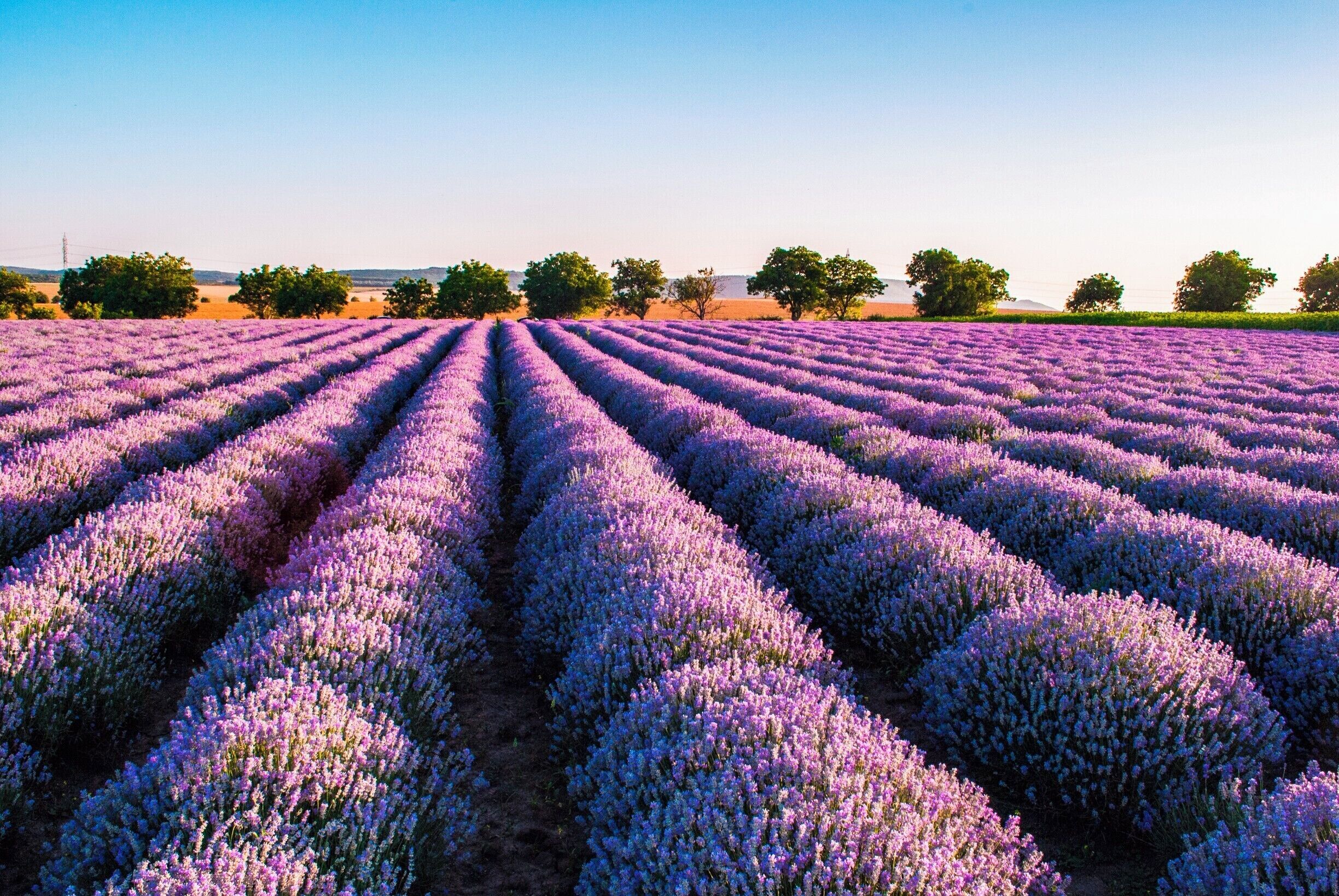 The Guillermo Del Toro exhibit is on at the AGO until January 7, 2018
It’s a must see for fans of his work, of unusual , macabre artifacts and pulp
#toronto #art # AGO 