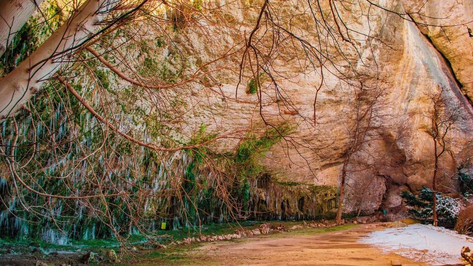 A cave with hanging moss and a dirt path.