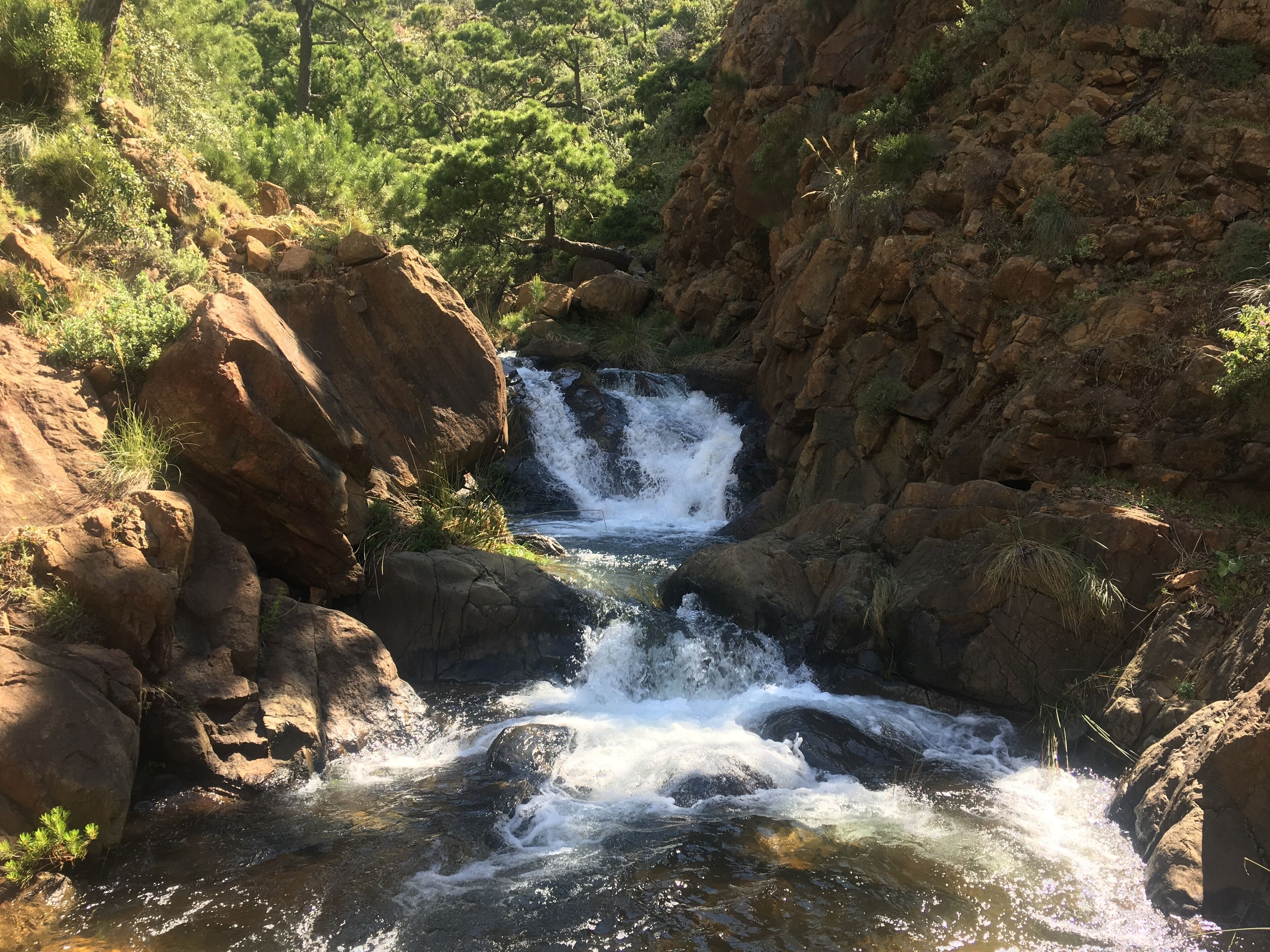 This is a photography of a Site of Community Importance in Spain with the ID: