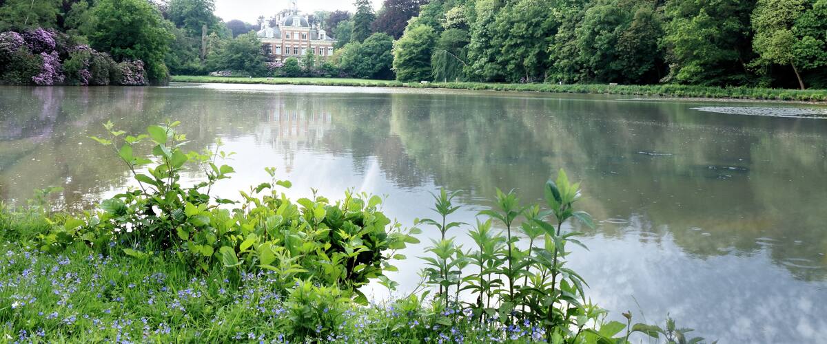 A calm lake with a large building in the background surrounded by lush greenery.