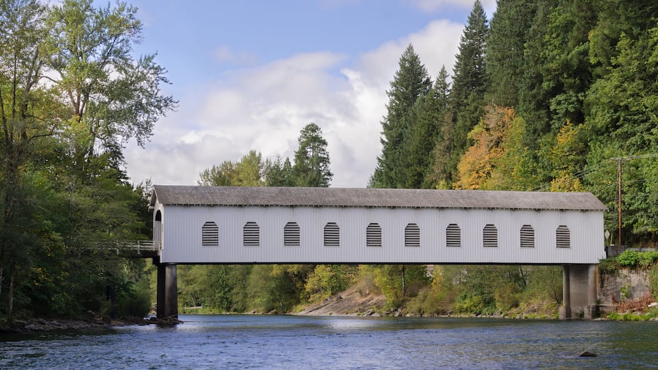 A covered bridge over a river, surrounded by dense forest and a clear sky.