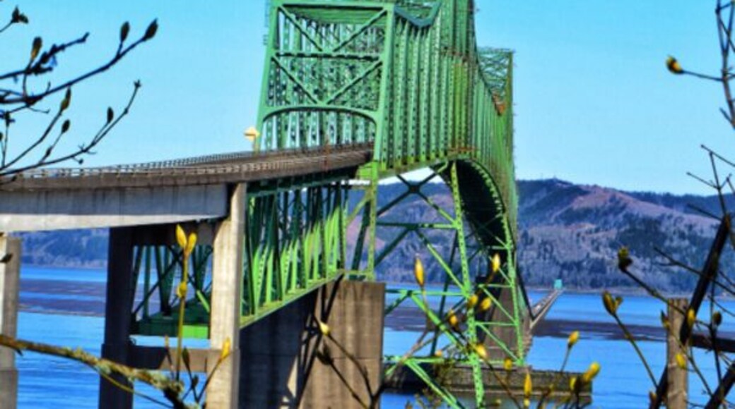 A beautiful 4.1 mile bridge. Spanning the Columbia River, connecting Oregon and Washington. The bridge can be seen in movies such as free willy, GOONIES, kindergarten cop, short circuit, teenage mutant ninja turtles 3 and more.