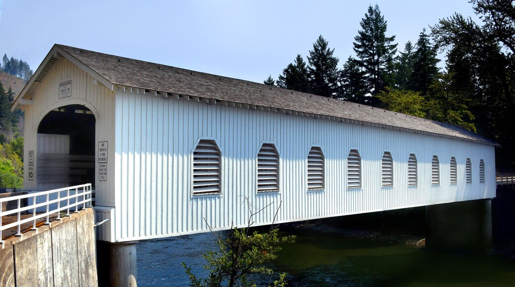 Covered Bridge on McKenzie River