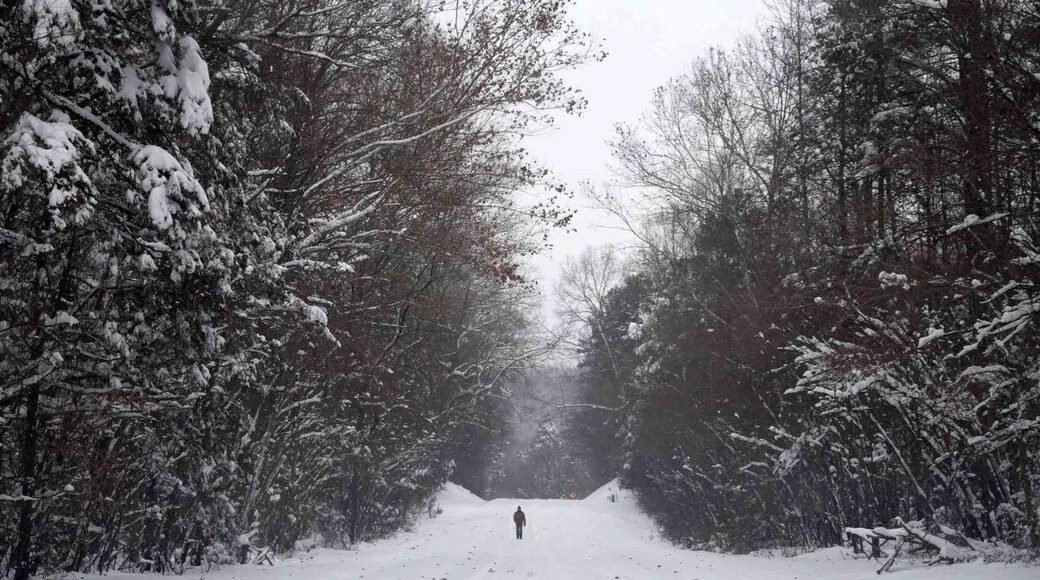 The one and only snow this winter...it was a doozy. December 2018