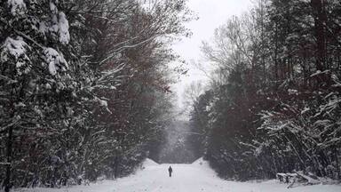 The one and only snow this winter...it was a doozy. December 2018