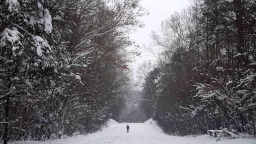 The one and only snow this winter...it was a doozy. December 2018