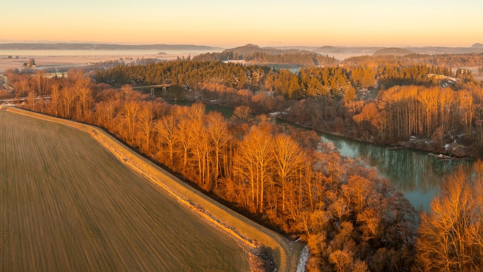 A river winding through a forested area with fields on either side.