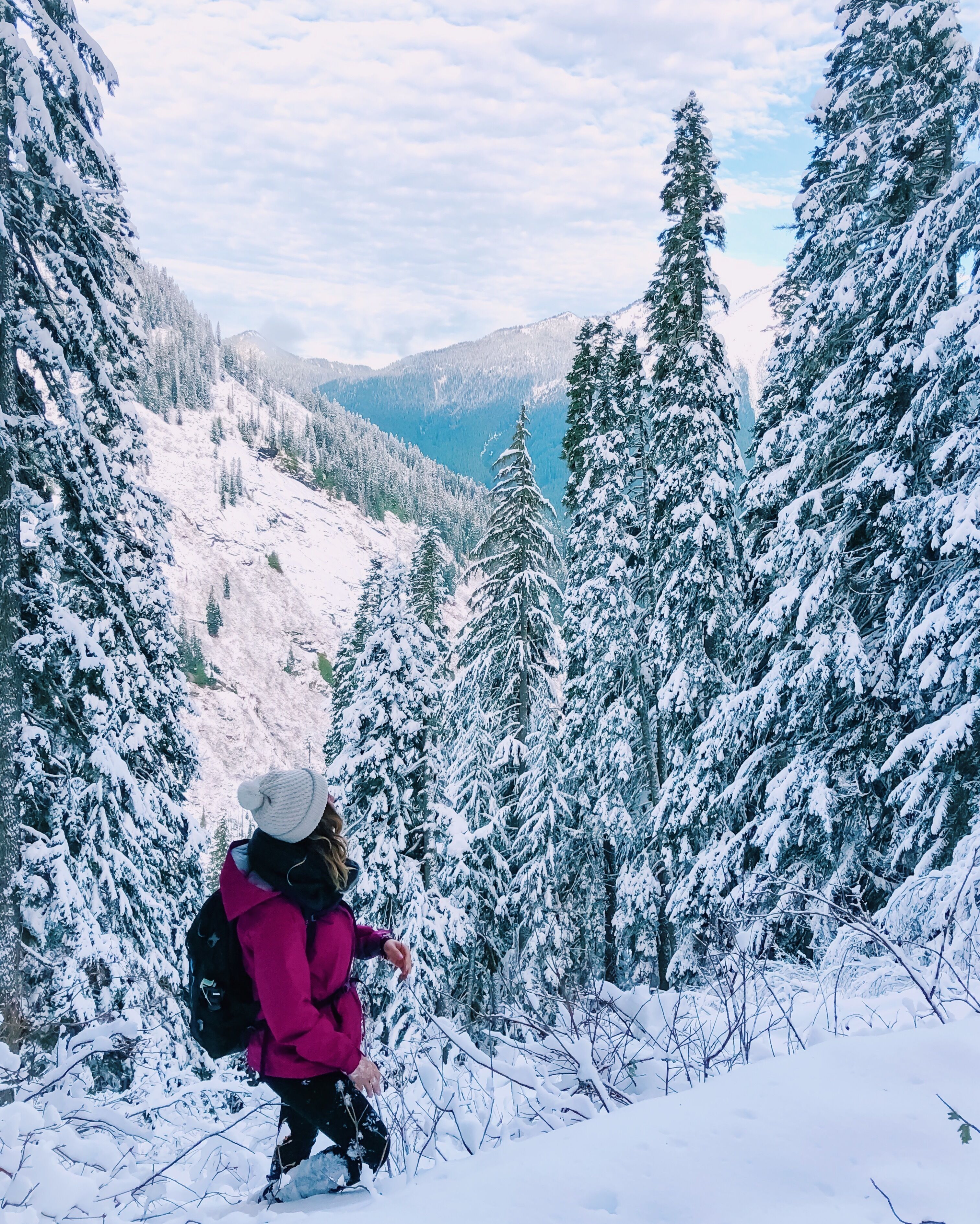 A person hiking in a snowy forest with snow-covered trees and a mountain in the background.