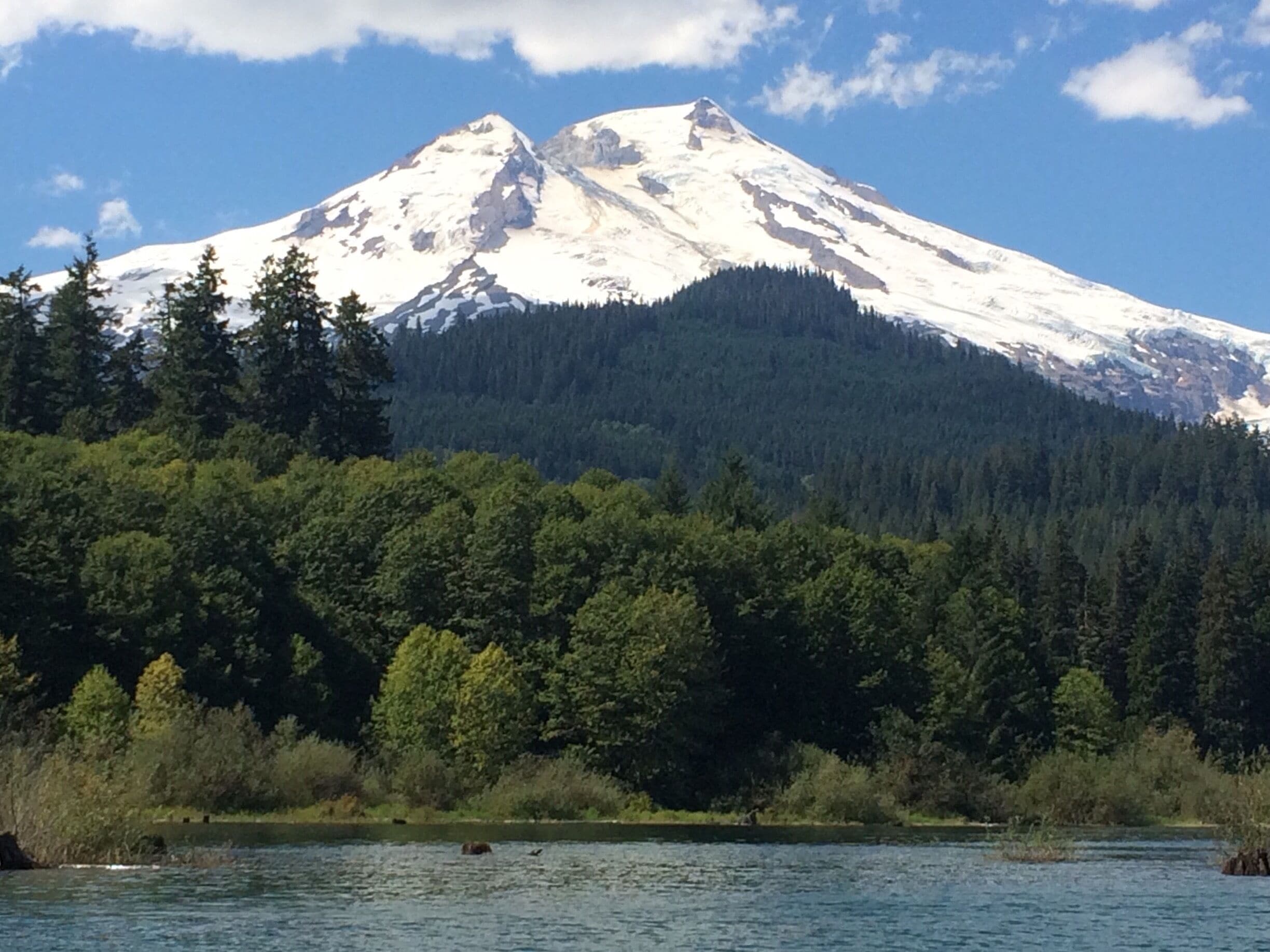 A snow-capped mountain, dense forest, and a river.