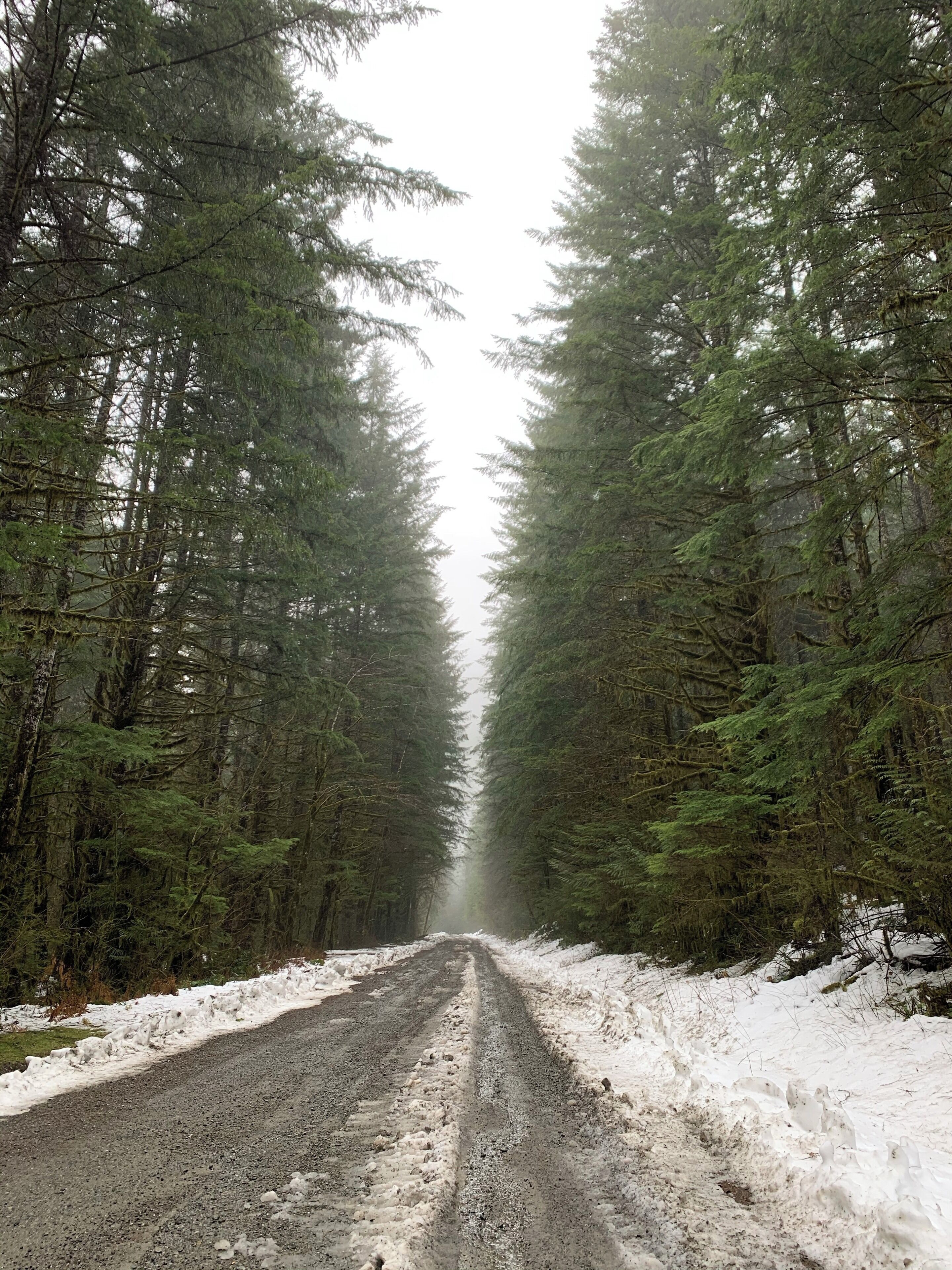 Driving in a sedan was not a great idea..had to abandon the planned hike..but my goodness Washington state..you’re beautiful