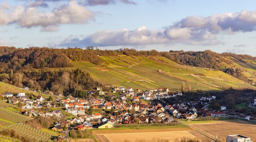 Zweiflingen-Friedrichsruhe