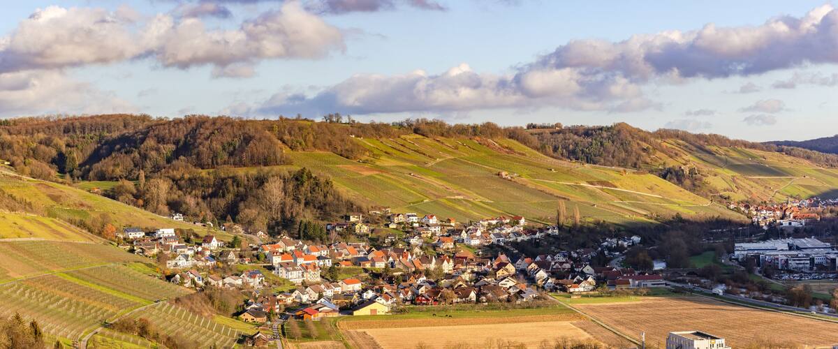 Panorama of rural nature with vineyards near Criesbach im valley Kochertal, Germany