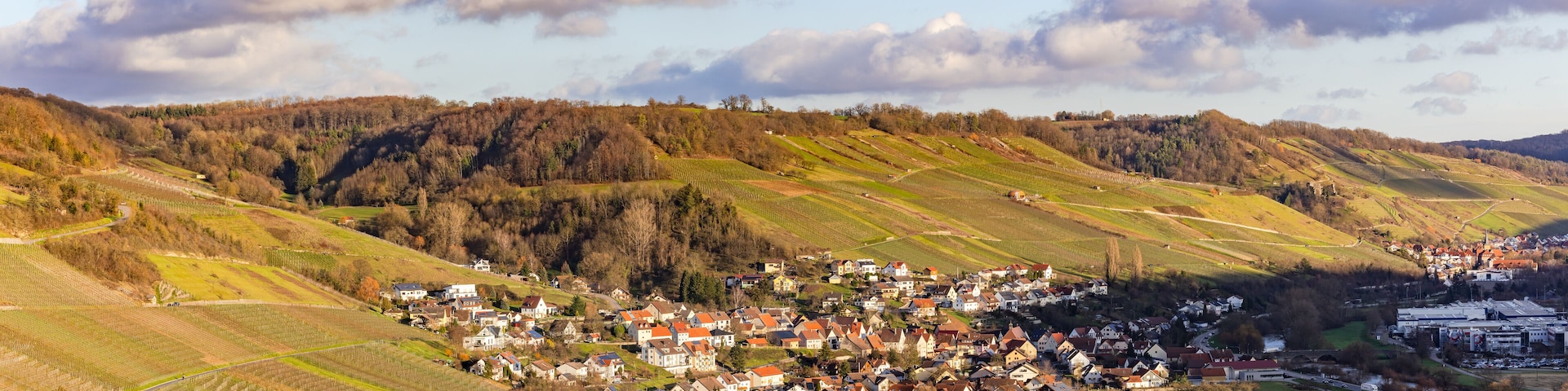 Panorama of rural nature with vineyards near Criesbach im valley Kochertal, Germany