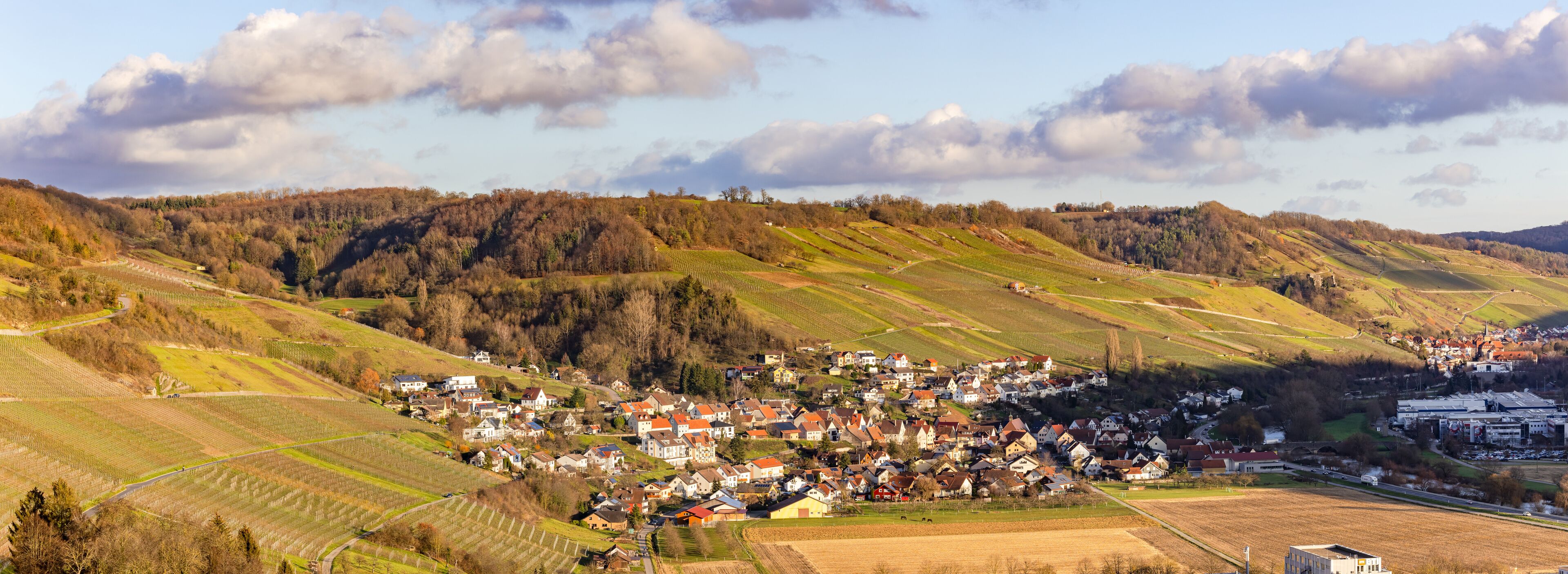 A rural village nestled in a valley with terraced vineyards and rolling hills.