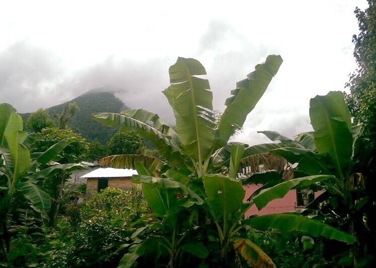 Mist above the volcanoes
