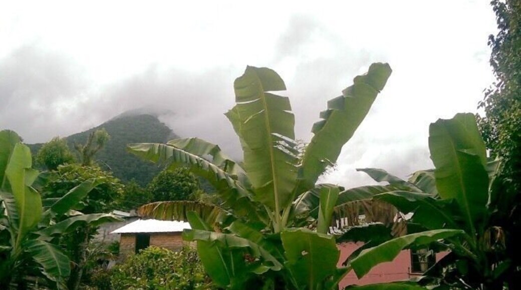 Mist above the volcanoes