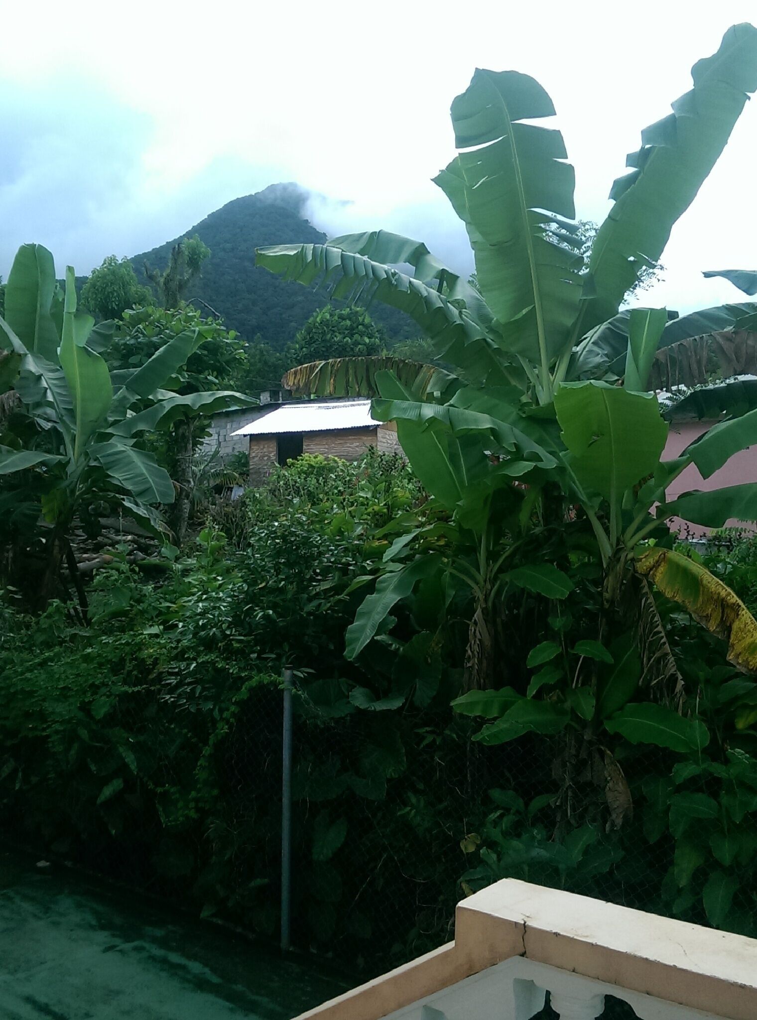 More mist and mountains.