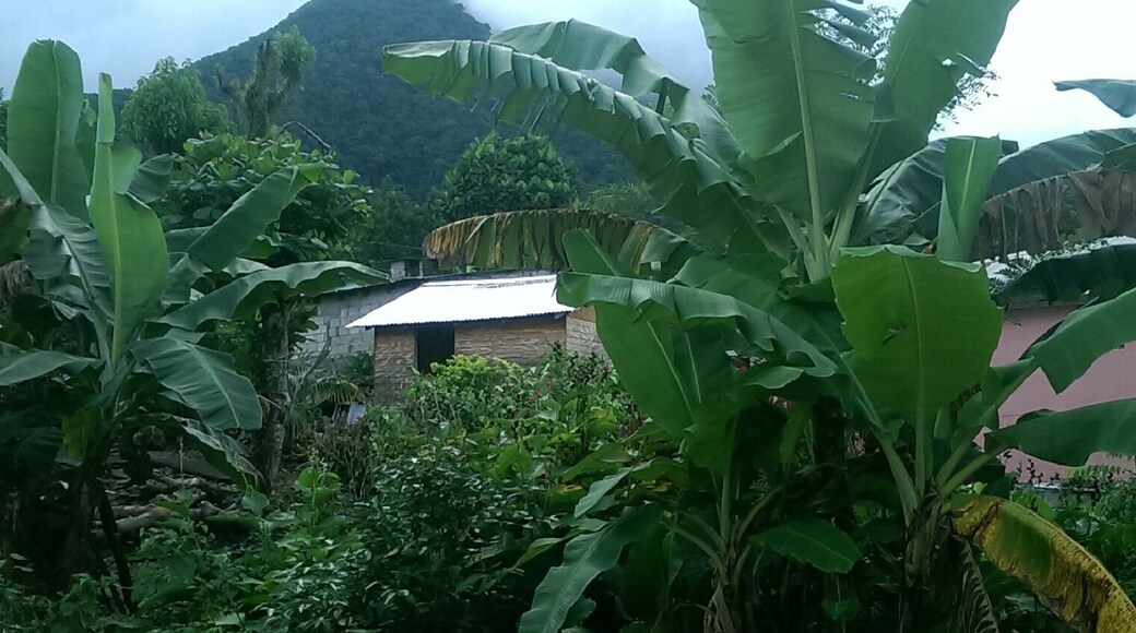 More mist and mountains.