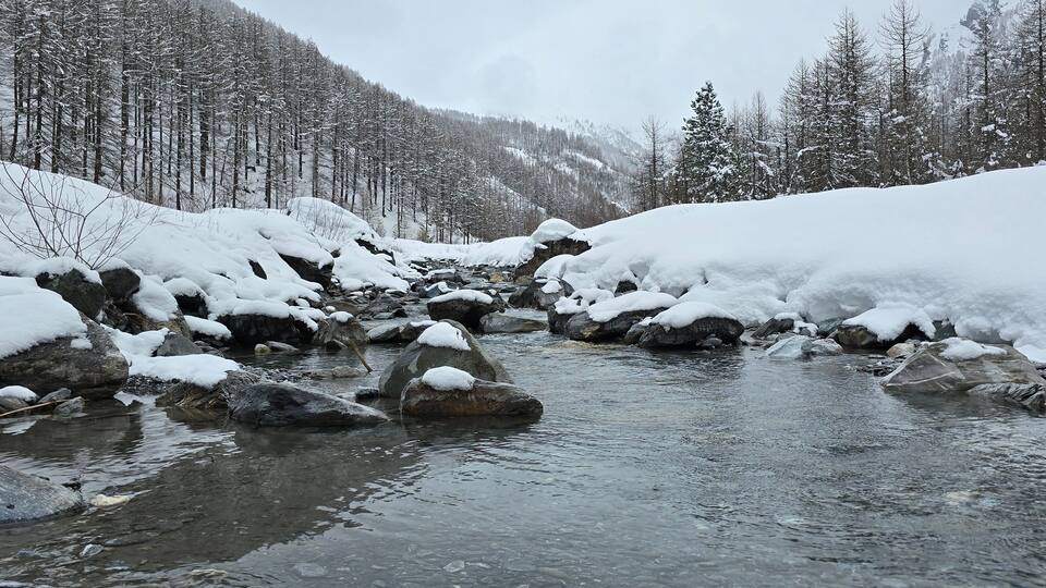 A snow-covered stream with rocks and trees in a forested mountainous area.