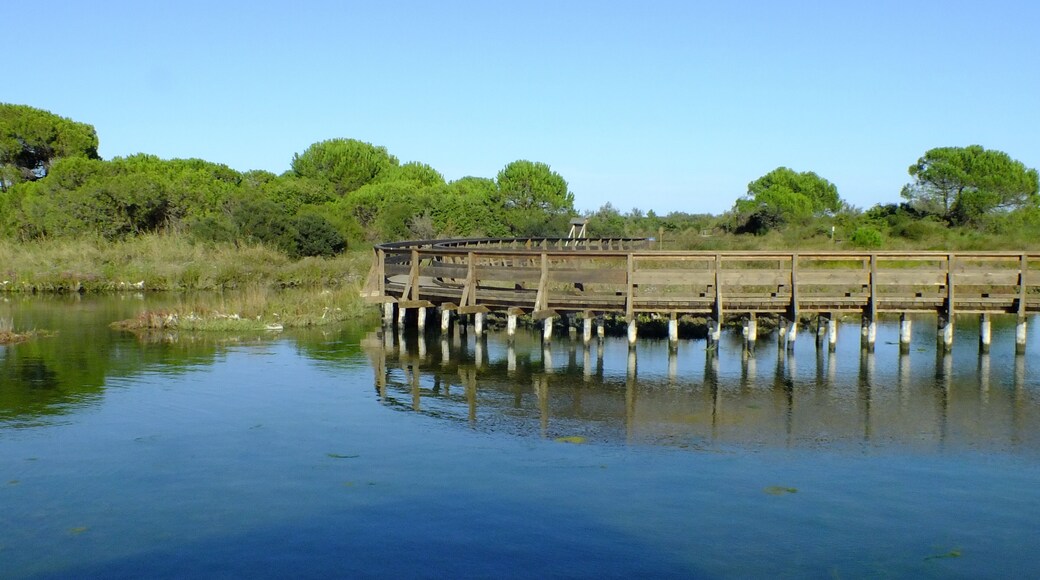 Boardwalk at the Po Delta Botanical Garden in the salt marsh at Rosolina Mare, Italy