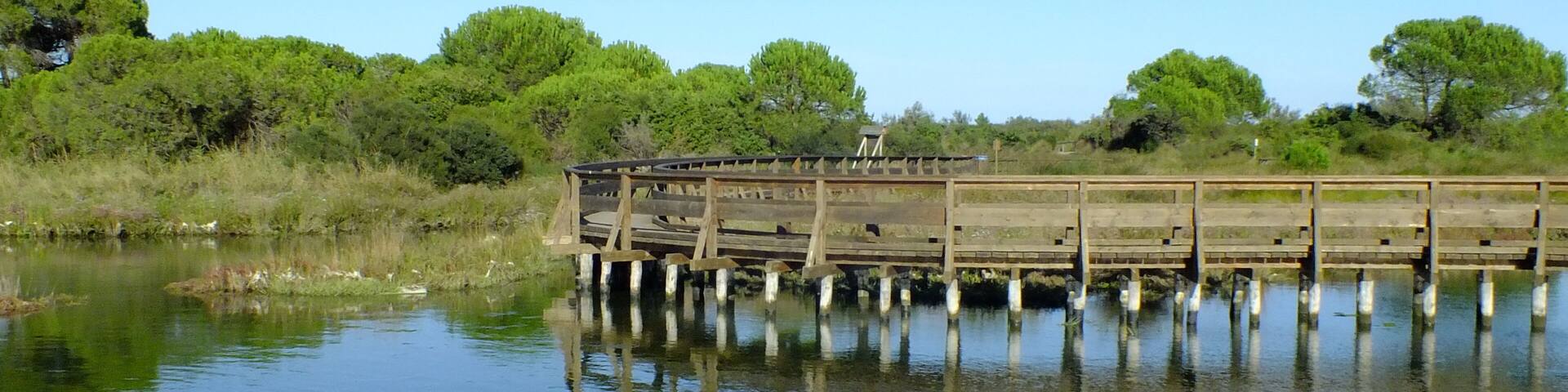 Boardwalk at the Po Delta Botanical Garden in the salt marsh at Rosolina Mare, Italy
