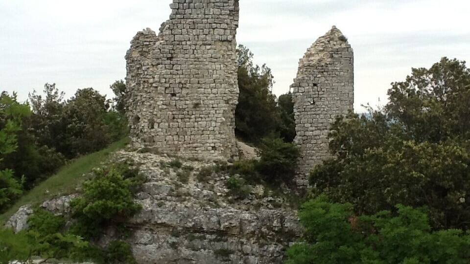 Ancient stone ruins with two prominent towers amidst lush greenery.