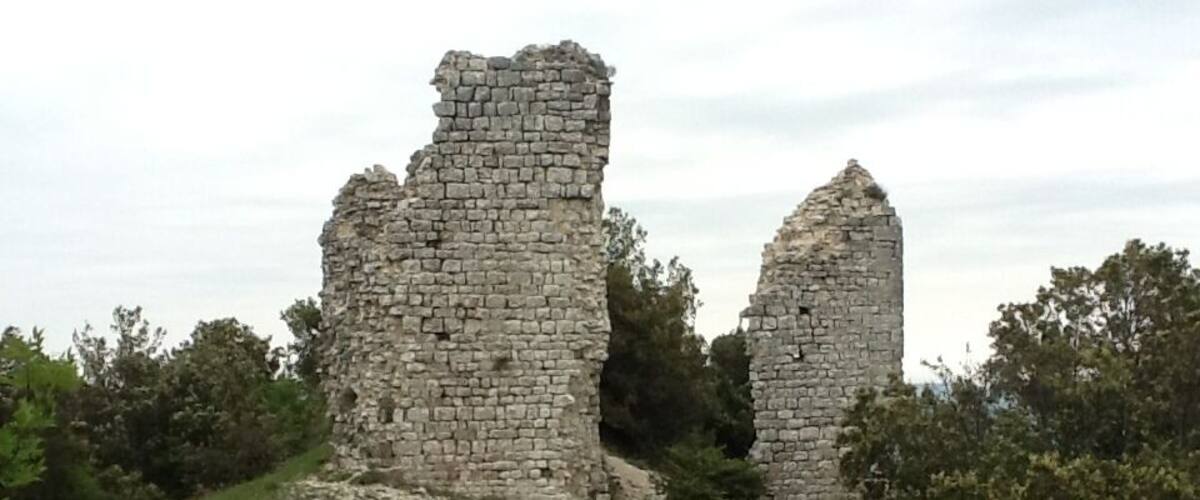 Ancient stone ruins with two prominent towers amidst lush greenery.