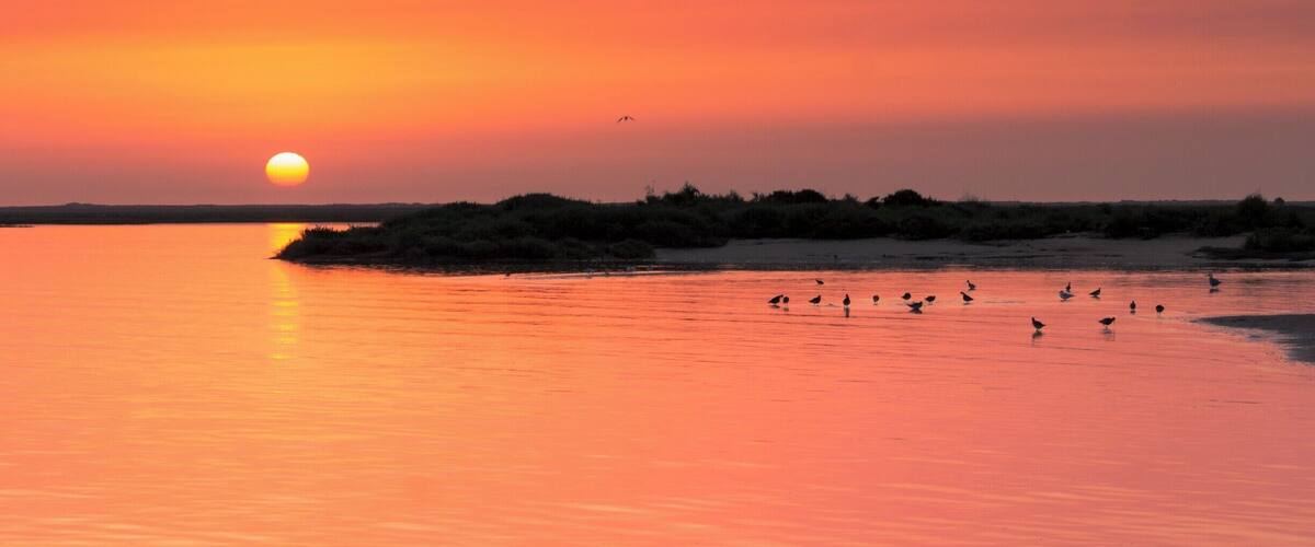 A sunset over a calm body of water with a distant shoreline and a bird in flight.