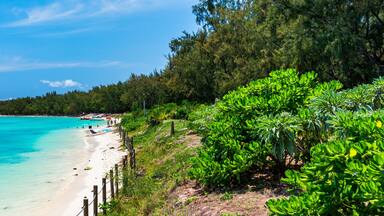 Mauritius beach aerial view of Mont Choisy beach in Grand Baie, Pereybere North. Mont Choisy, public beach in Mauritius island, Africa. Beautiful beach of Mont Choisy in Mauritius, drone aerial view.