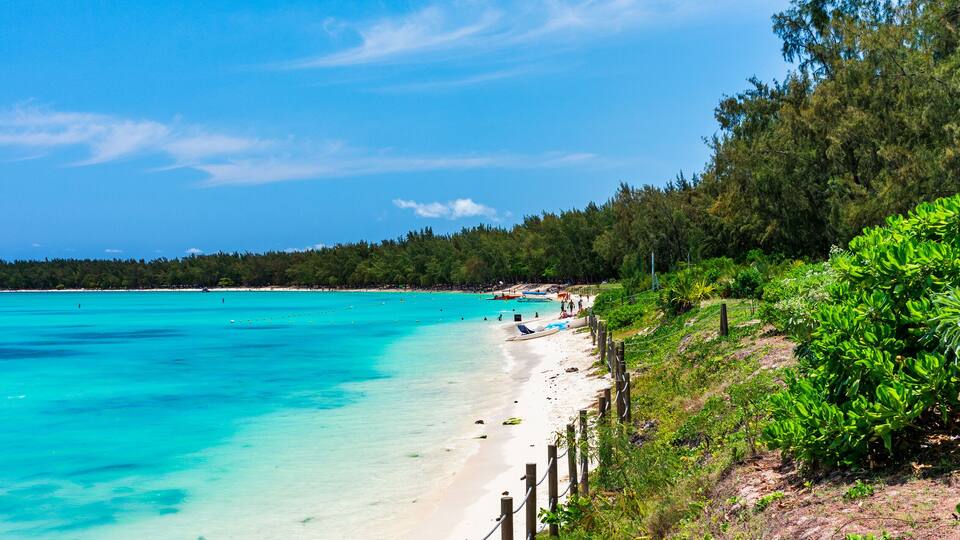 A turquoise beach with clear waters, a sandy shore, and lush greenery.