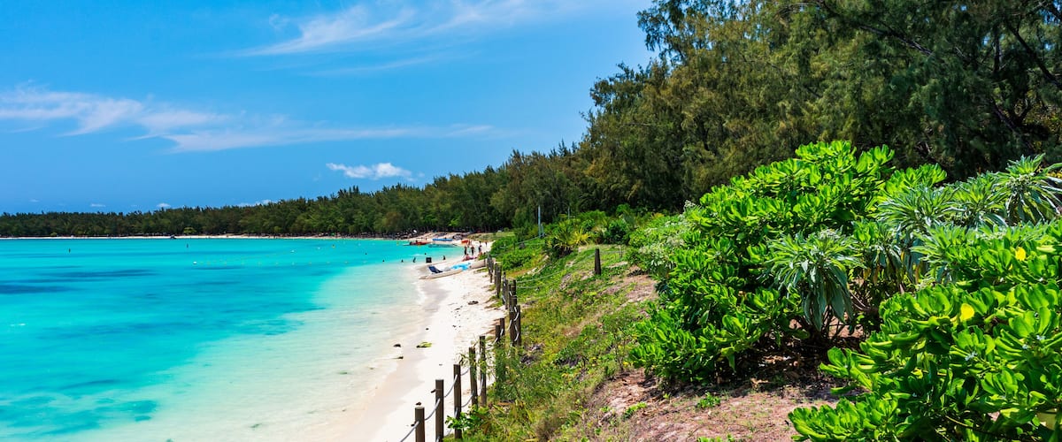 A turquoise beach with clear waters, a sandy shore, and lush greenery.