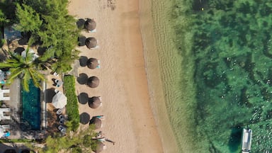 Vista aérea de uma praia com águas cristalinas, guarda-sóis, palmeiras e uma piscina.