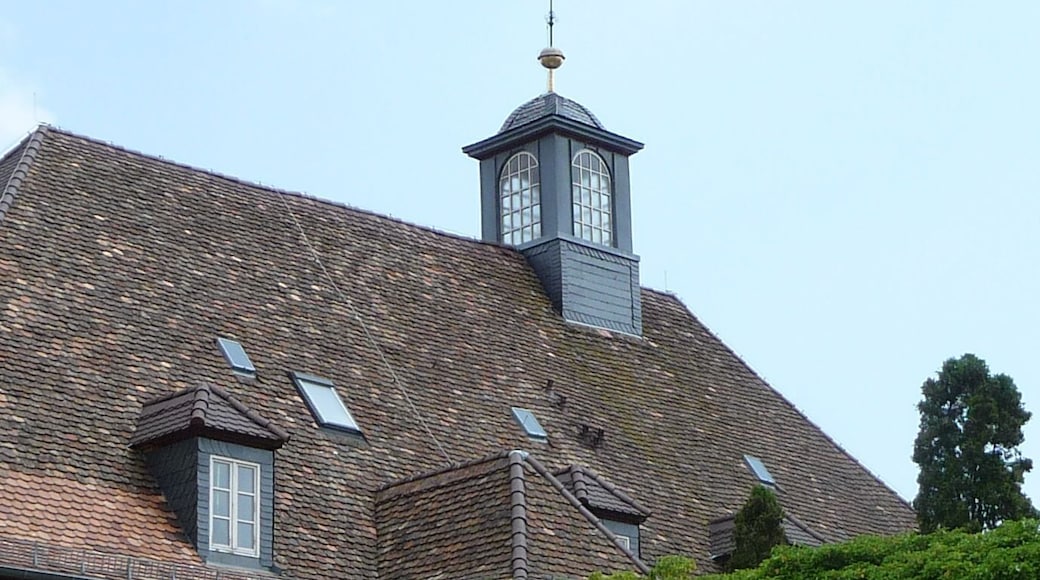 TĂŒrmchen in Deidesheim