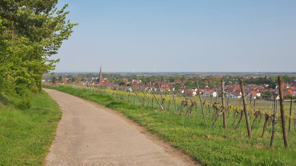 Deidesheim in der Pfalz
