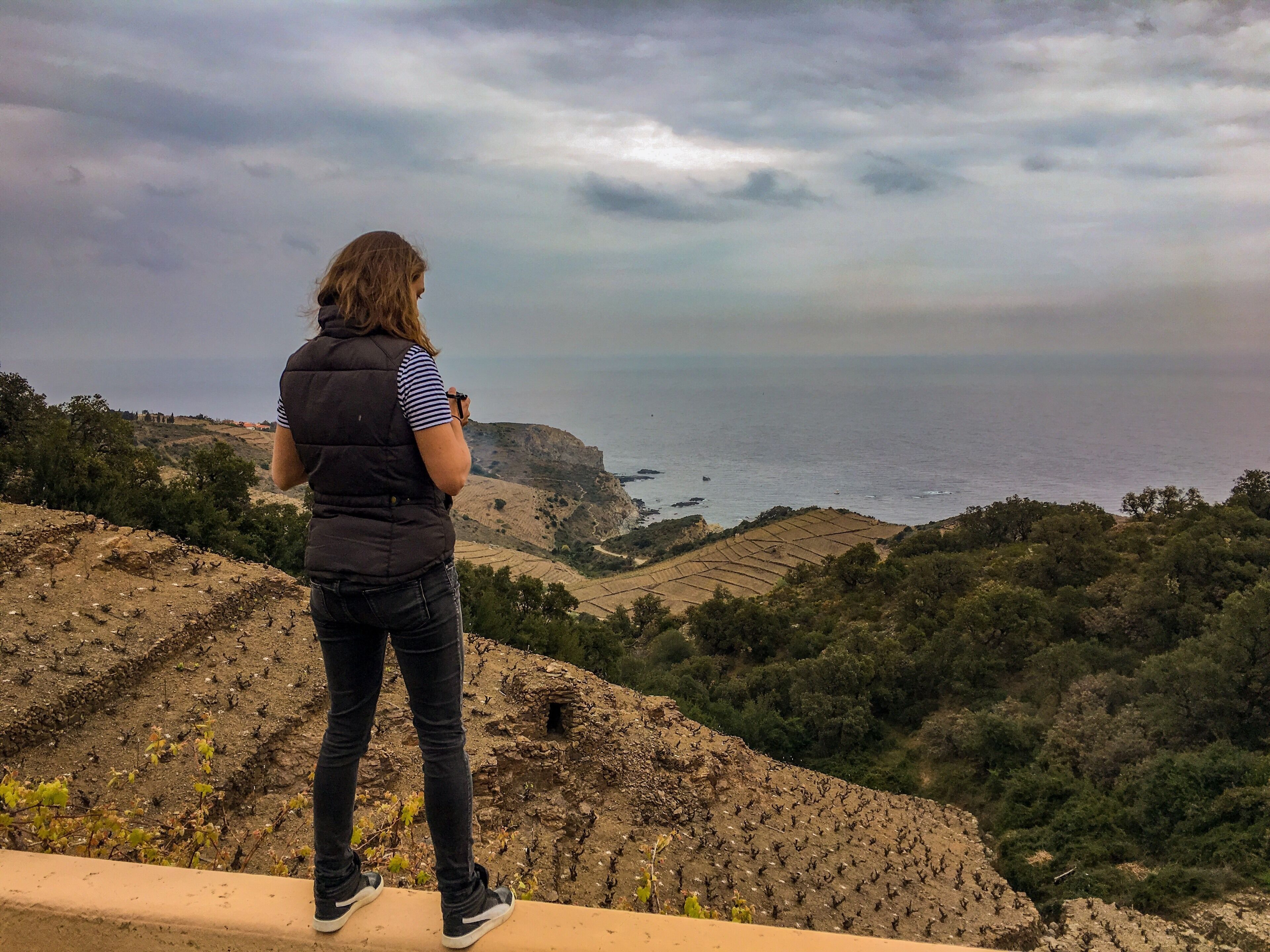 Visit the vineyeards from Banyuls!