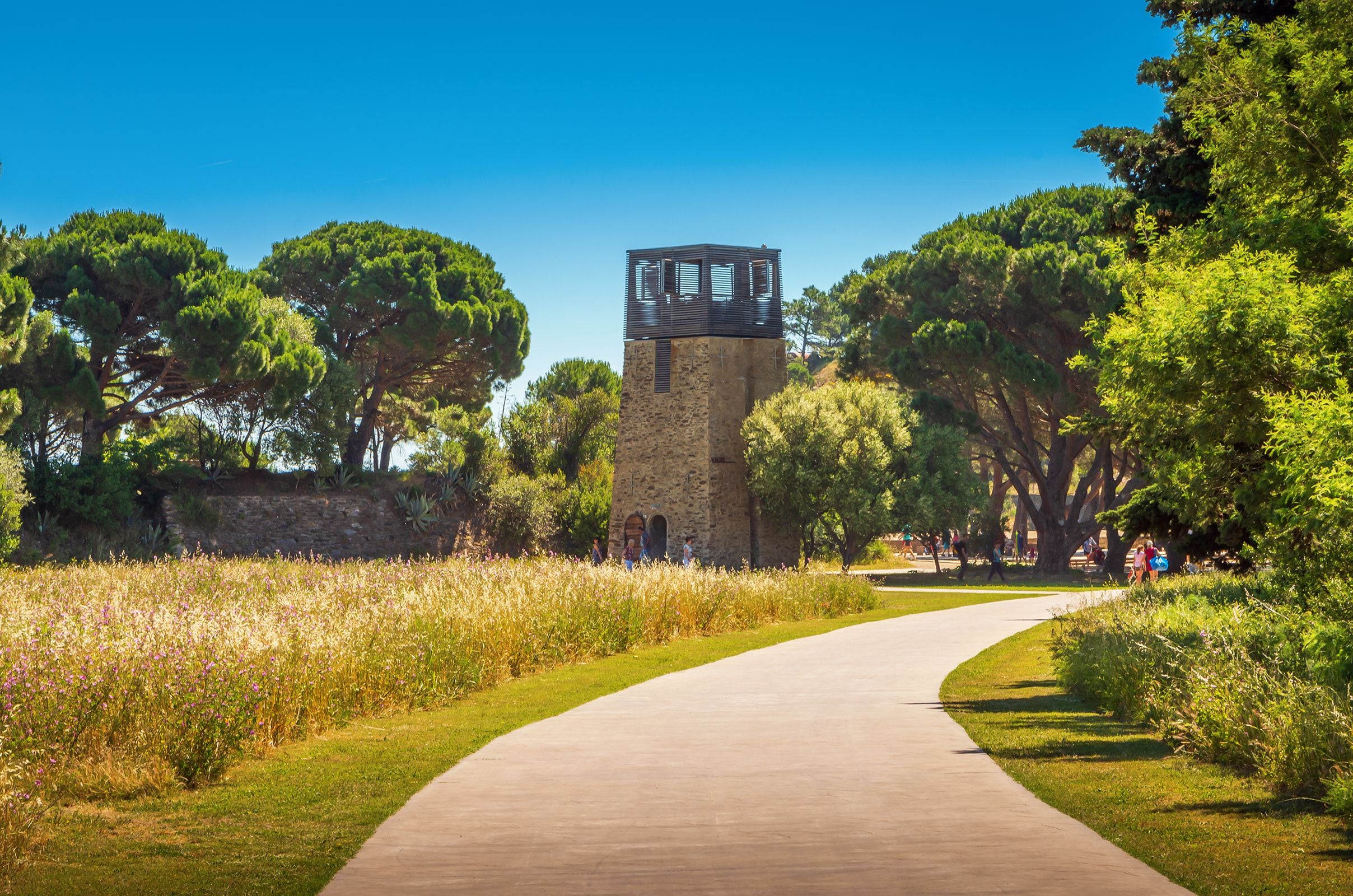 A pathway leading to a stone tower with a wooden structure on top, surrounded by lush greenery and trees.