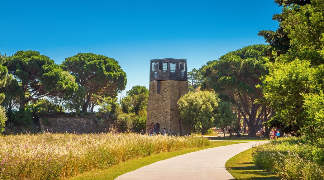 A pathway leading to a stone tower with a wooden structure on top, surrounded by lush greenery and trees.