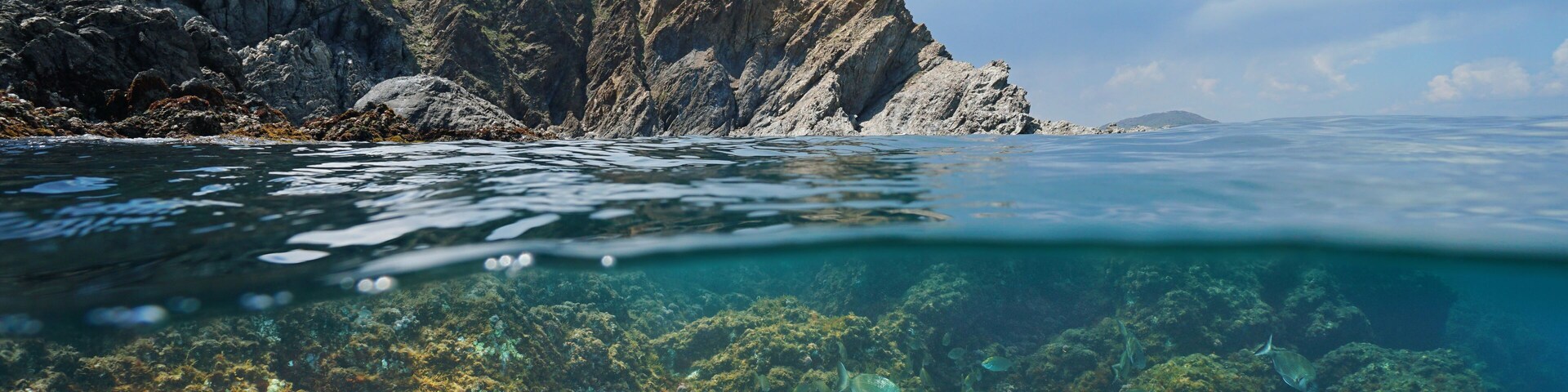 A coastal landscape with rocky cliffs and clear water revealing underwater coral reefs.