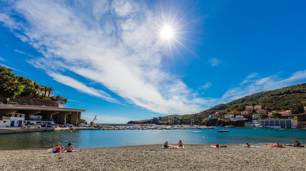 Mediterranean Sea