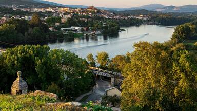 A river with a bridge, a town with buildings, and a hill with a structure.