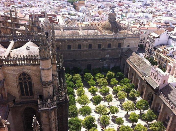 another view from the bell tower of Catedral de Santa Maria