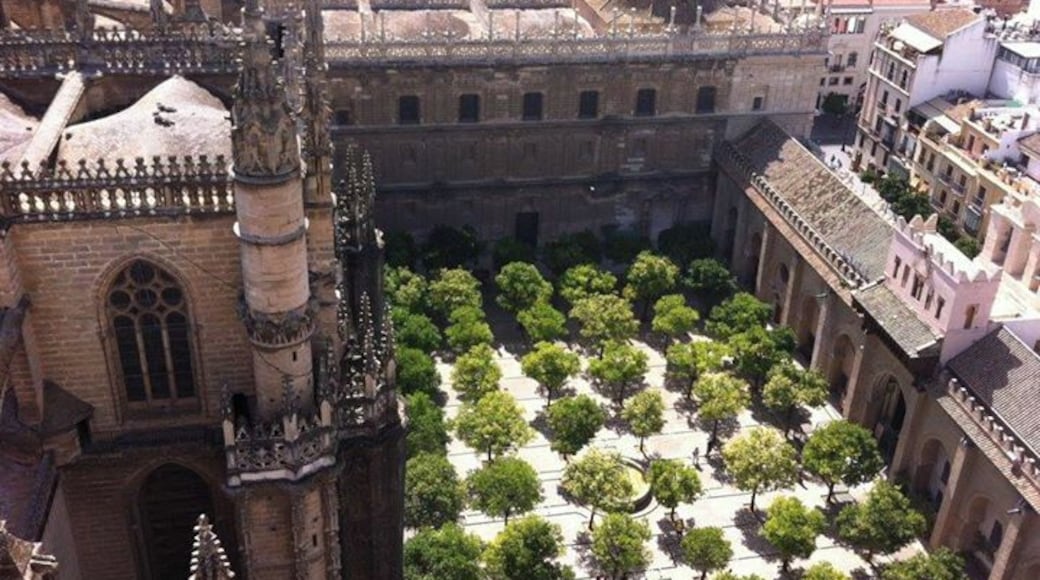 another view from the bell tower of Catedral de Santa Maria