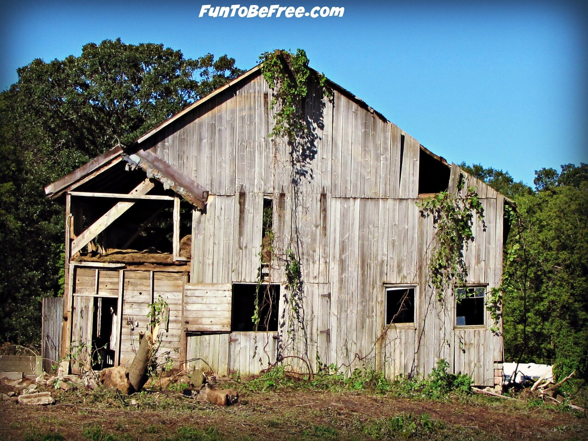 One of the many old barns in Wisconsin,  Just get off the main roads and you'll see them.