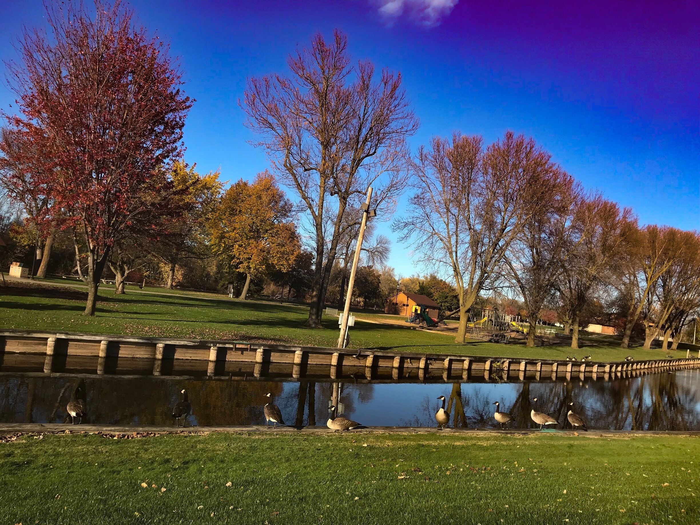 “ Family Fun before the winter wind”



This is a wonderful park along your drive through this quaint little town. 

Omro Wisconsin is a wonderful gem and it is the perfect example of what small town living is about 