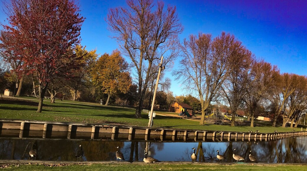 “ Family Fun before the winter wind”
This is a wonderful park along your drive through this quaint little town.
Omro Wisconsin is a wonderful gem and it is the perfect example of what small town living is about