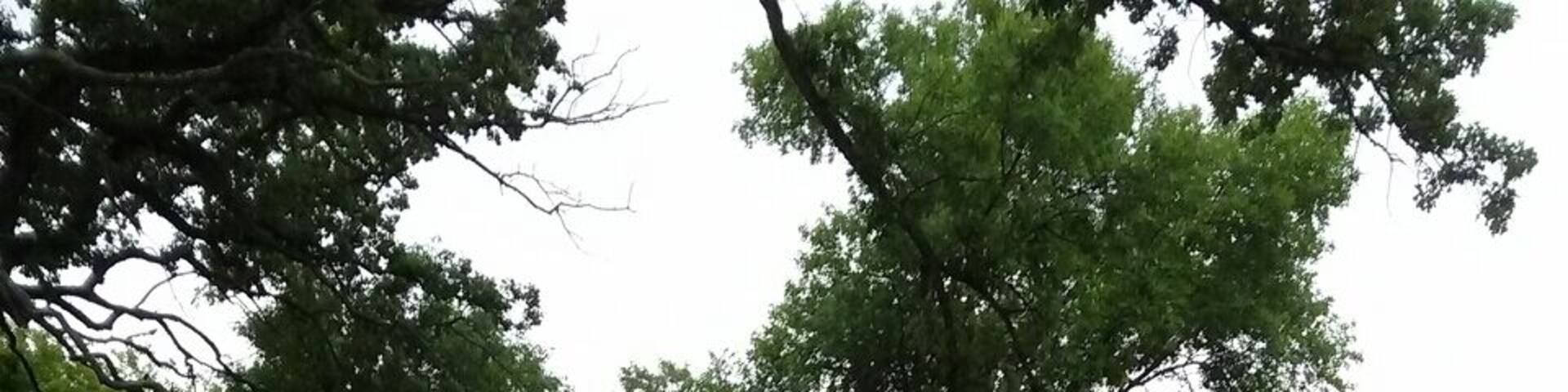 This little house is not as abandoned as one would assume. We lurked and took pictures until the owner, who owned the only other house in sight, found us. Pin not right.