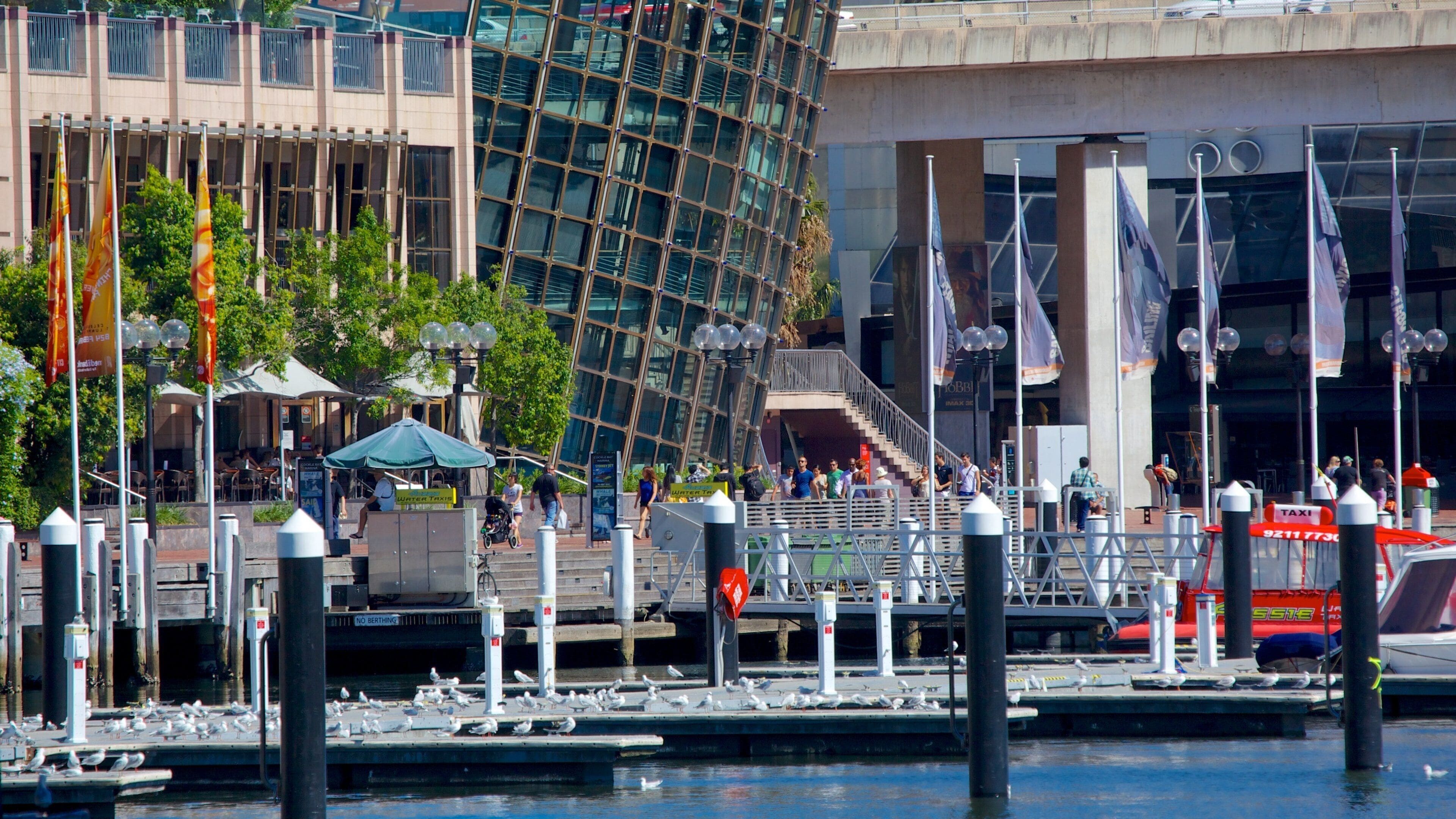 Cảng Darling có tính năng cảng hoặc vịnh