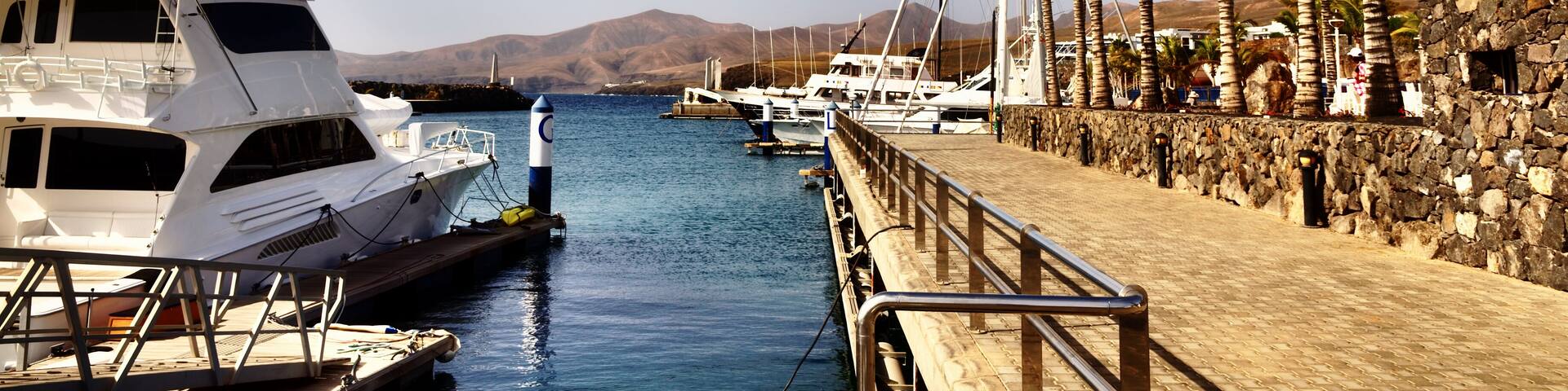 A marina with yachts docked, a wooden walkway, and palm trees.
